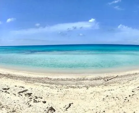 Tatil Evi 2 On The *