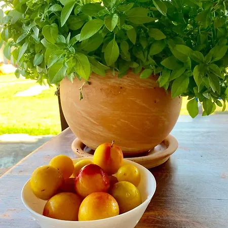 2 On The Semesterbostad *