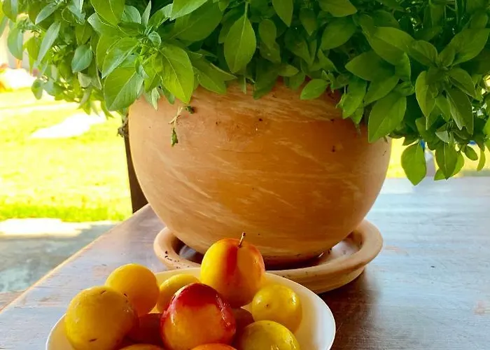 2 On The Дом отдыха *